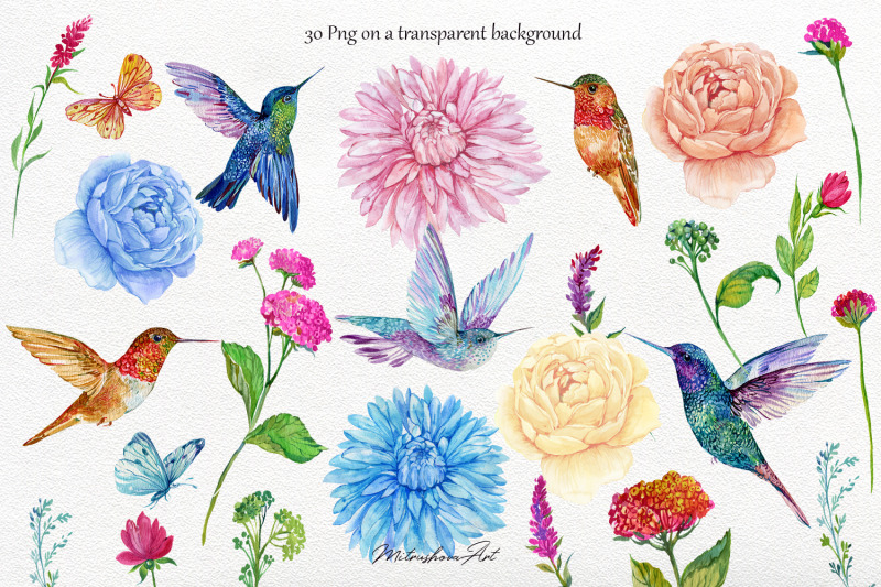 tropical-birds-hummingbird-flowers-watercolor