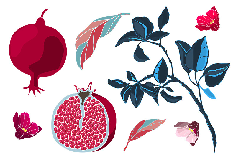 pomegranate-vector-pattern-png-elements