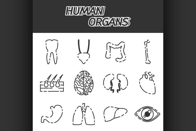 human-organs-icons-set