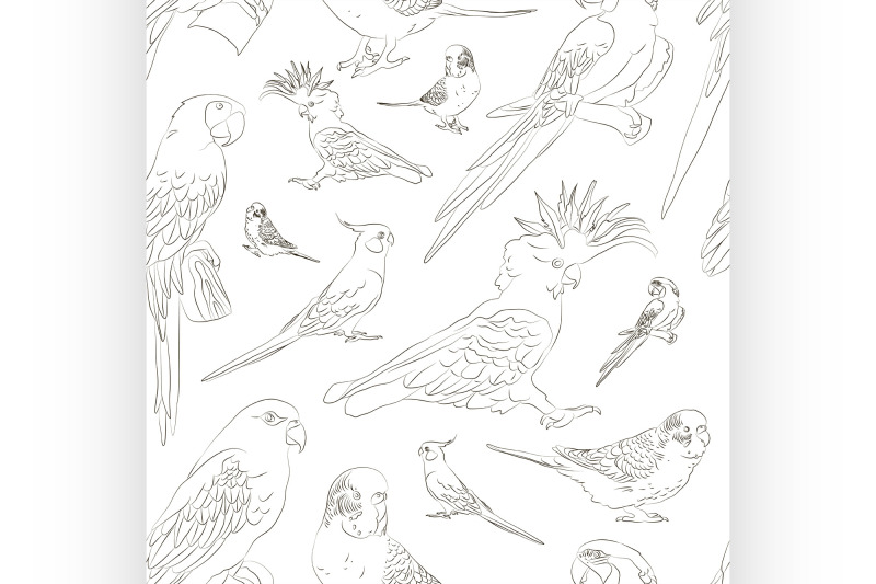 parrots-set-pattern