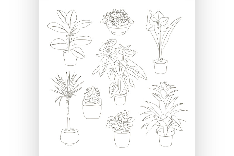 house-plants-set