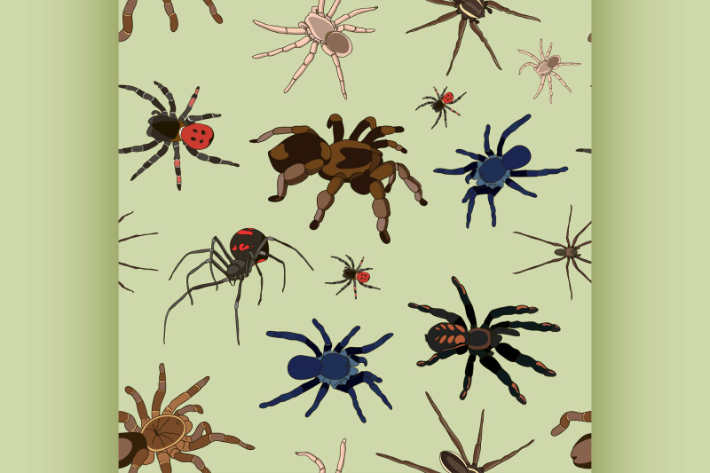 spiders-vector-set-pattern