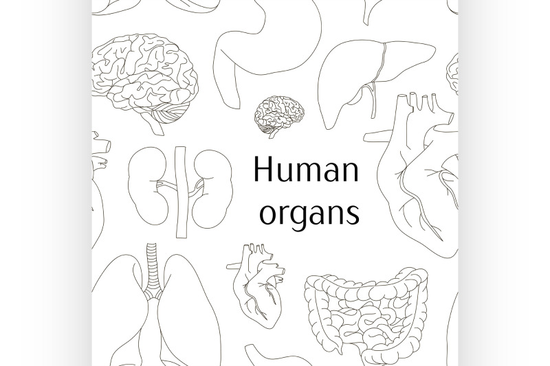 different-human-organs-set-pattern