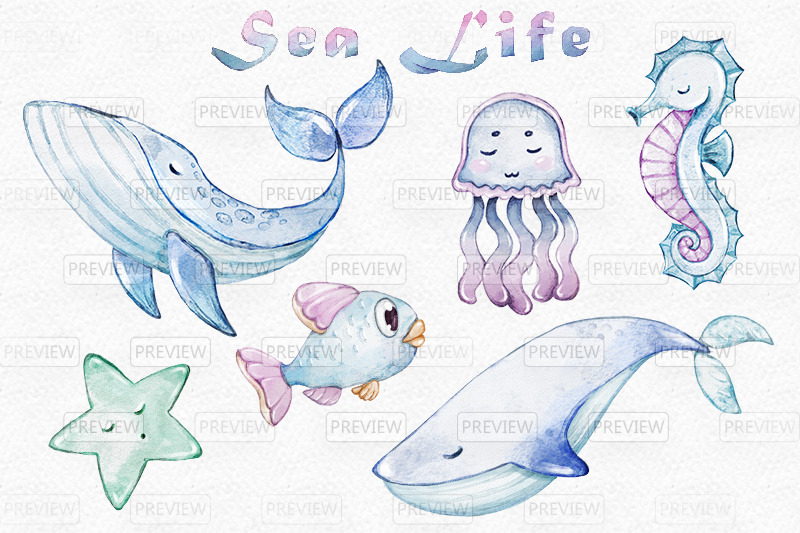 watercolor-sea-life-collection-cute-hand-drawn-clipart