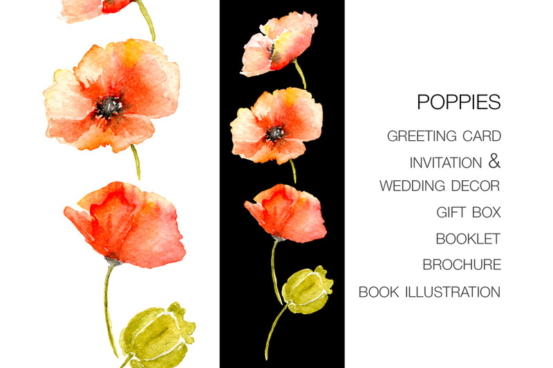 poppy-in-4-design-elements-for-future-cards-invitation-and-wedding