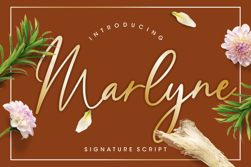 marlyne-signature-script