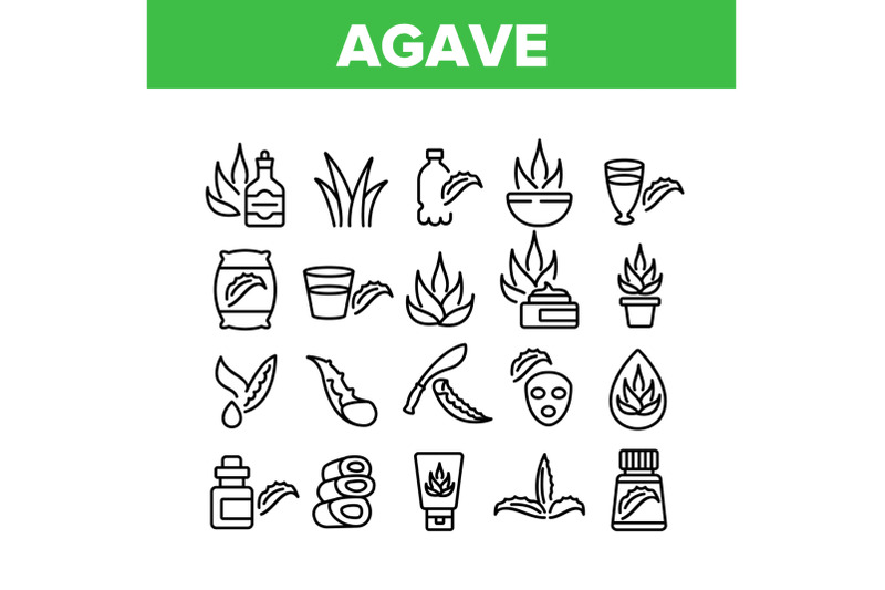 agave-aloe-vera-plant-collection-icons-set-vector