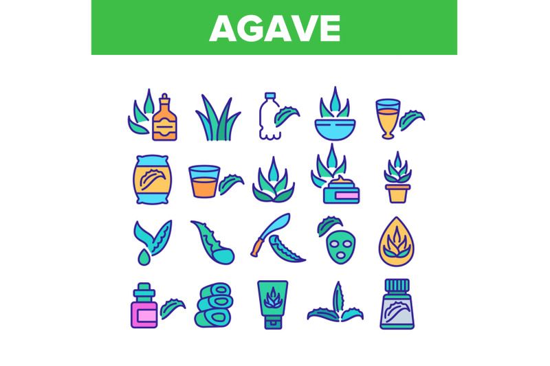 agave-aloe-vera-plant-collection-icons-set-vector