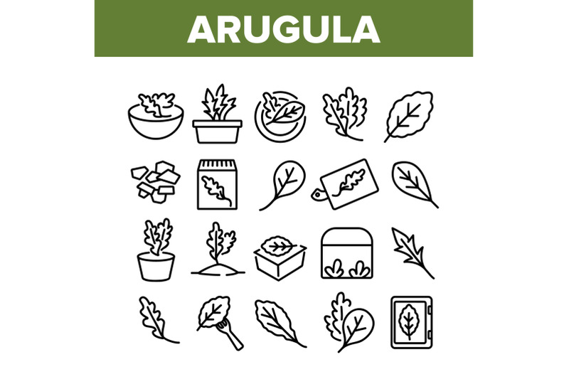 arugula-or-rucola-collection-icons-set-vector
