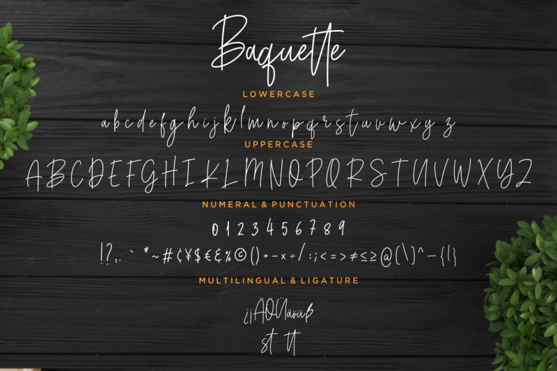 baquette-monoline-script