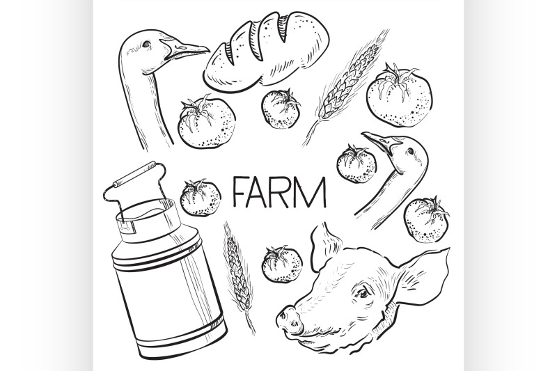 farm-collection-hand-drawn-set