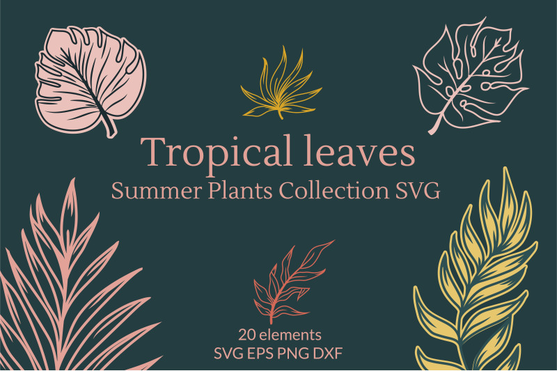tropical-leaves-summer-plants-collection-svg-graphics
