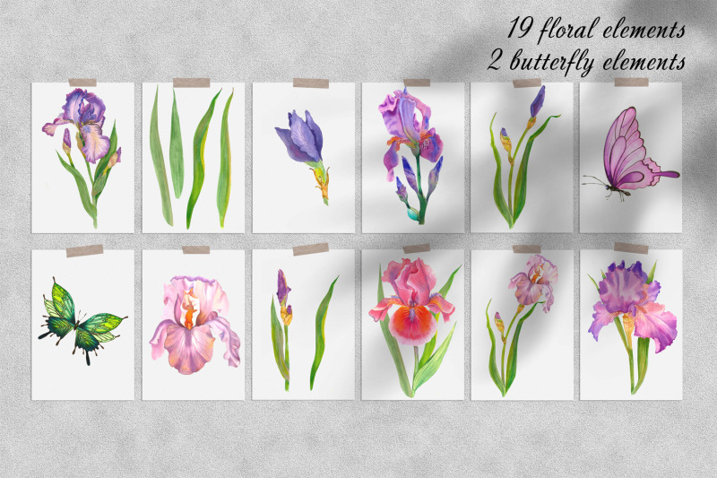 beautiful-elegant-watercolor-iris-flowers