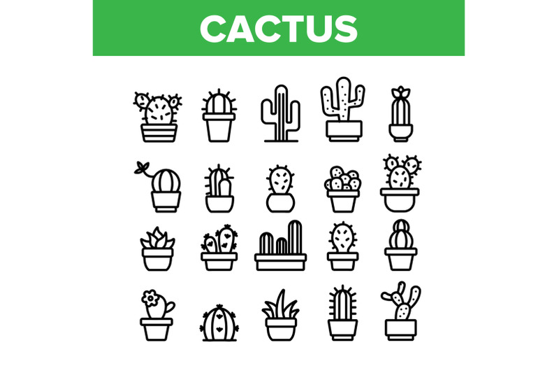 cactus-domestic-plant-collection-icons-set-vector