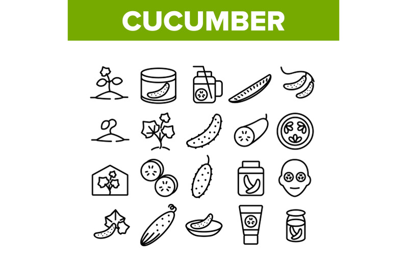 cucumber-vegetable-collection-icons-set-vector