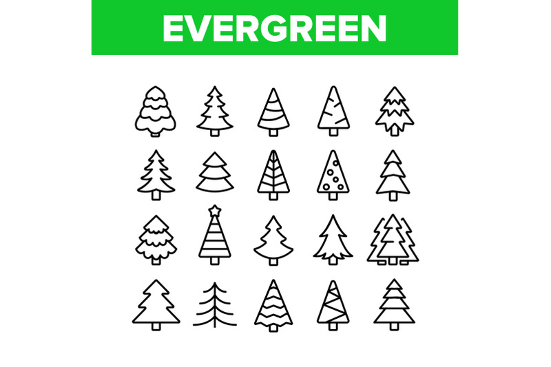 evergreen-pine-tree-collection-icons-set-vector