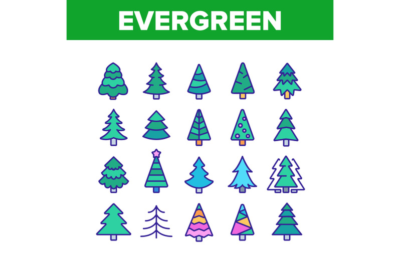 evergreen-pine-tree-collection-icons-set-vector