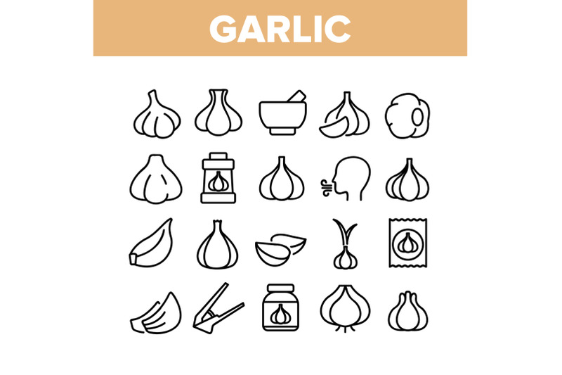 garlic-spicy-vegetable-collection-icons-set-vector