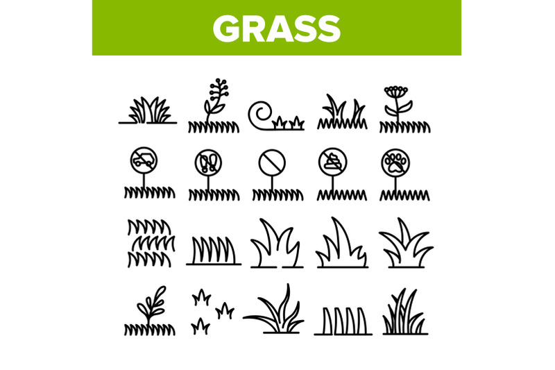 grass-meadow-plant-collection-icons-set-vector