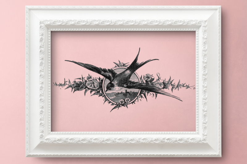 vintage-swallow-bird-illustration-black-and-white-swallow
