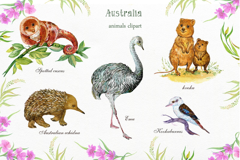 animals-australia-watercolor