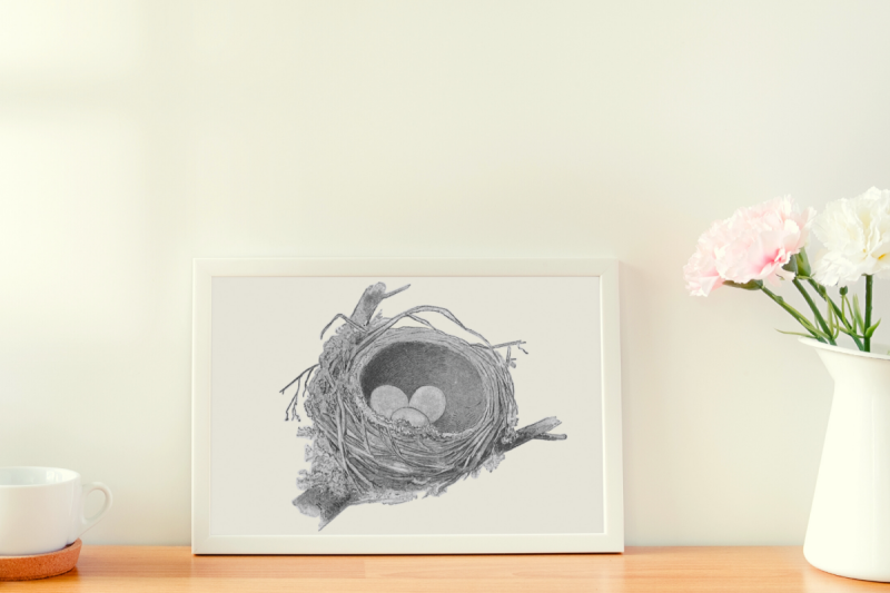 rustic-vintage-bird-nest-eggs-print-farmhouse-wall-decor