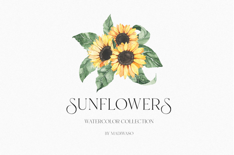 watercolor-sunflowers-collection