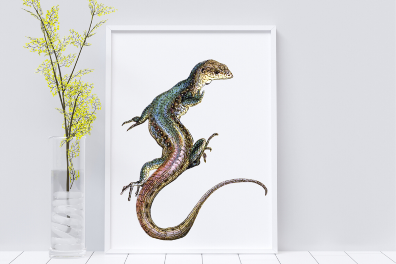 lizard-vintage-wall-art-printable-wall-decor-gecko-lizard