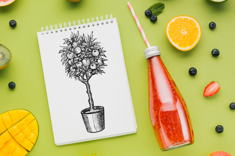 citrus-tee-vintage-flowers-botanical-illustration-tree