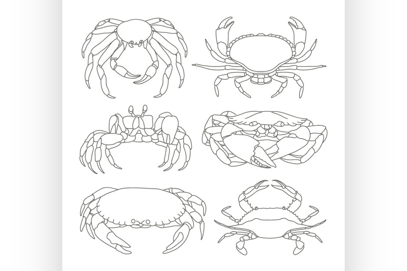 set-of-vector-crab-icons