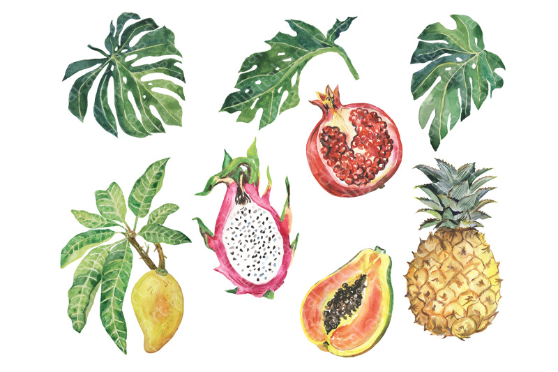 watercolor-tropical-fruit-clipart-summer-clip-art-fruit-set