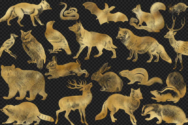 gold-forest-animals-clipart