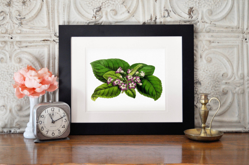 retro-botanical-illustration-wedding-invitation-flower