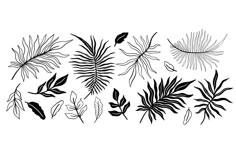 plant-set-tropical-black-and-white-color