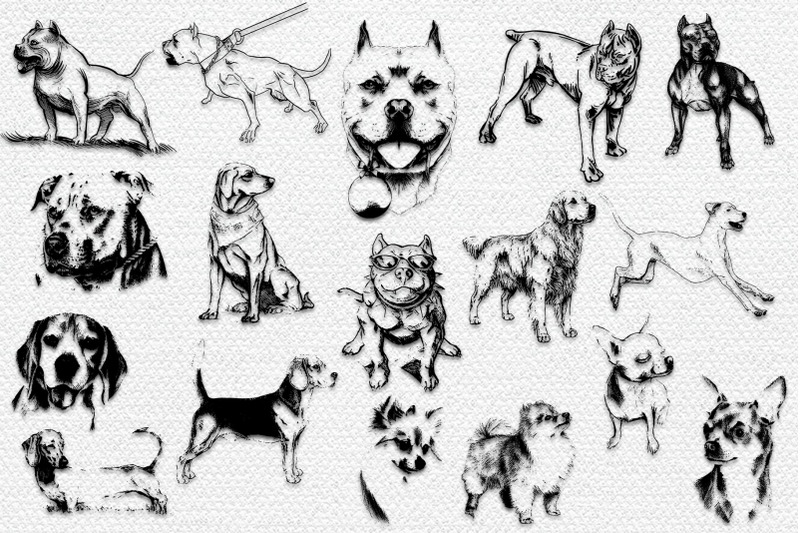 33-dogs-hand-drawn-illustrations