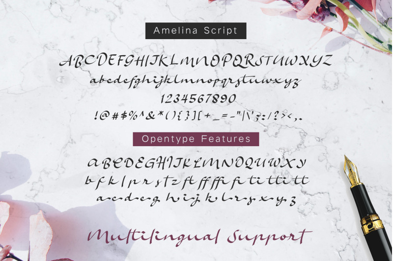amelina-font-duo