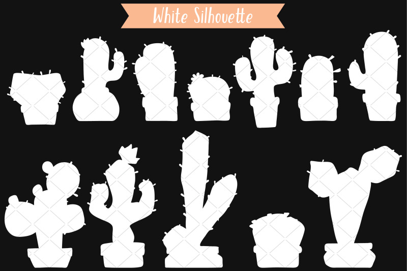 white-cactus-in-flower-pots-succulent-tropical-house-plants