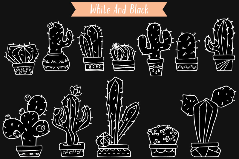 white-cactus-in-flower-pots-succulent-tropical-house-plants