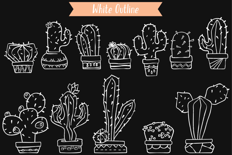 white-cactus-in-flower-pots-succulent-tropical-house-plants