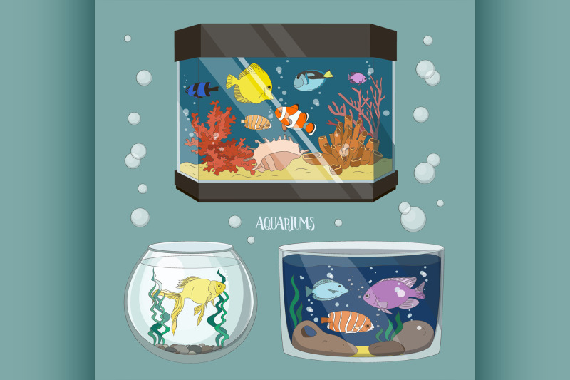 glass-aquarium-set