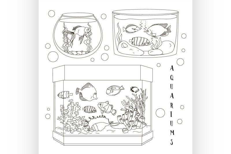 glass-aquarium-set