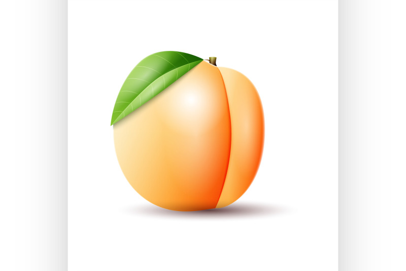 apricot-on-white-background