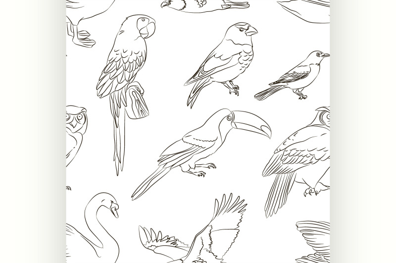 bird-collection-pattern