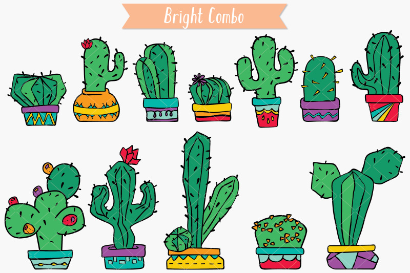 colored-cactus-in-flower-pots-succulent-tropical-house-plants