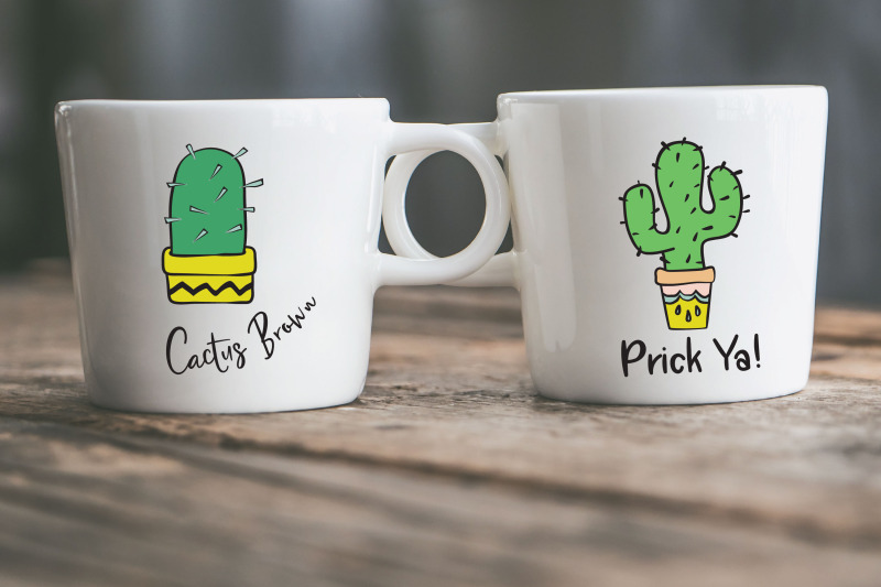 colored-cactus-in-flower-pots-succulent-tropical-house-plants