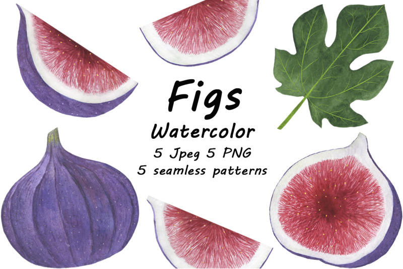 collection-of-fig-fruits-watercolor-illustration