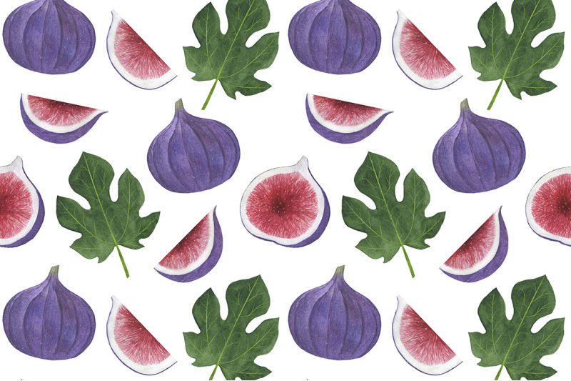 collection-of-fig-fruits-watercolor-illustration