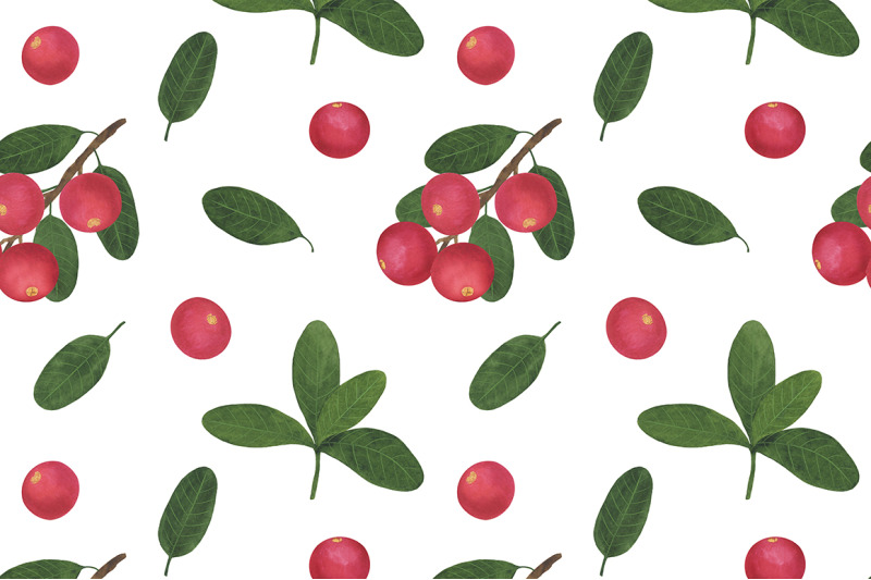 collection-berries-cranberry-branch-leaves-watercolor