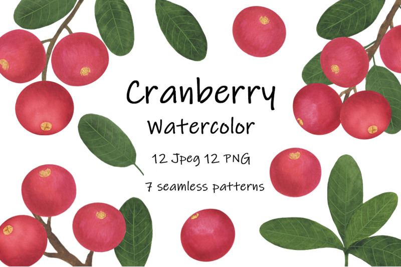 collection-berries-cranberry-branch-leaves-watercolor