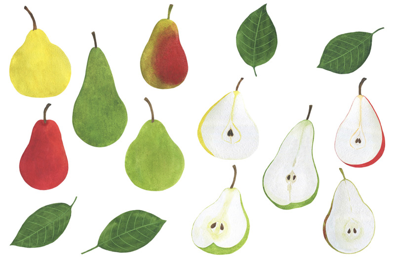 set-pears-fruits-watercolor-food-illustration